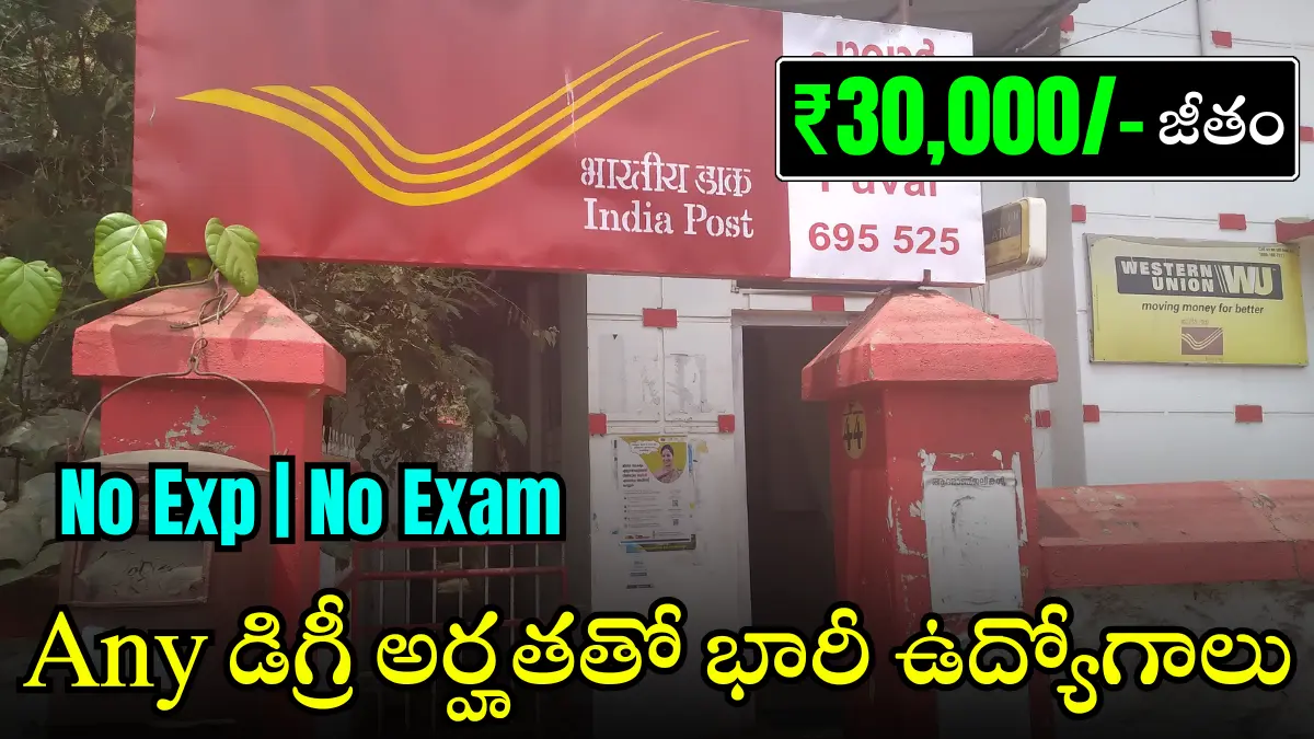 IPPB Recruitment